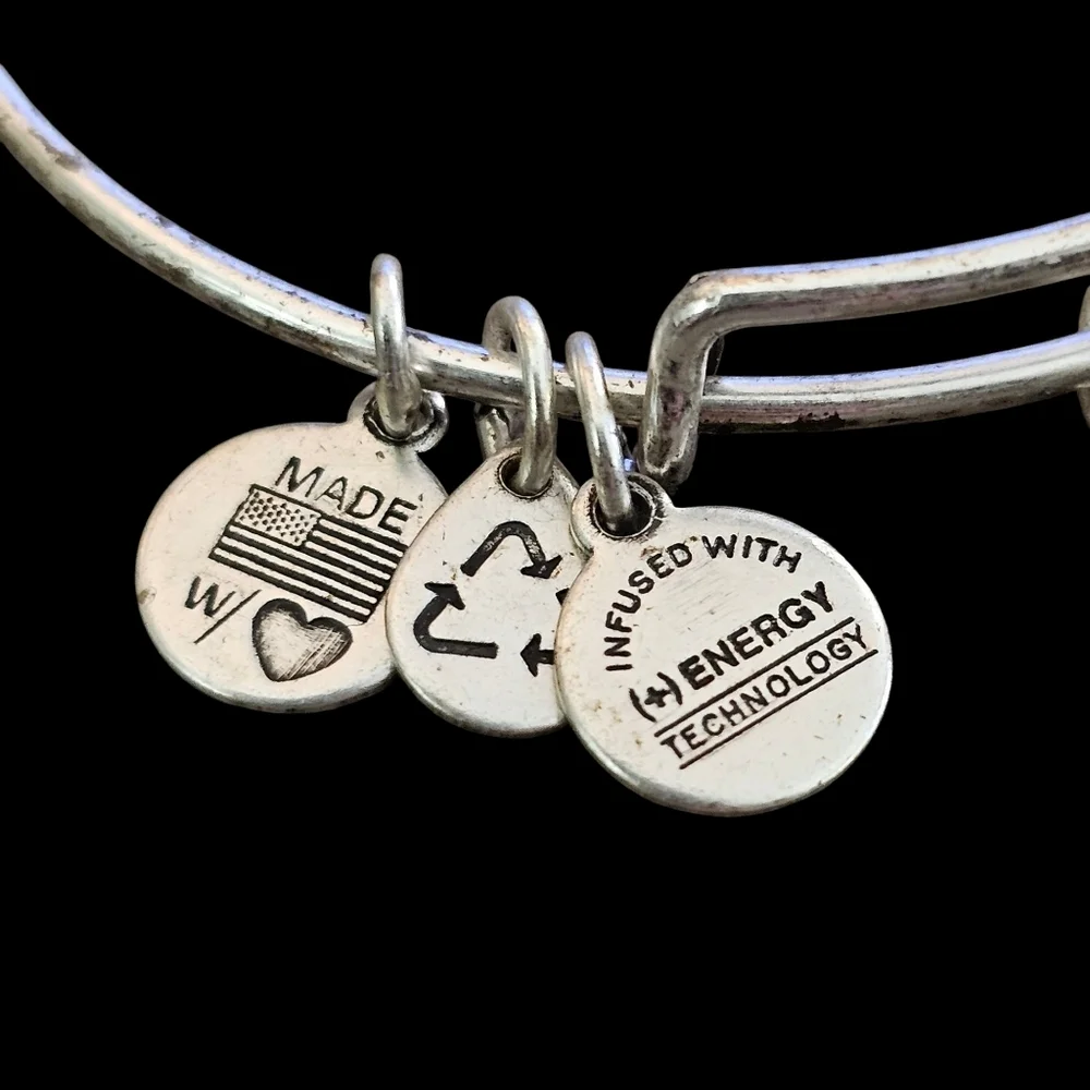 Alex and Ani Crystal Skeleton Key Charm Bangle in Silver-Tone Brass